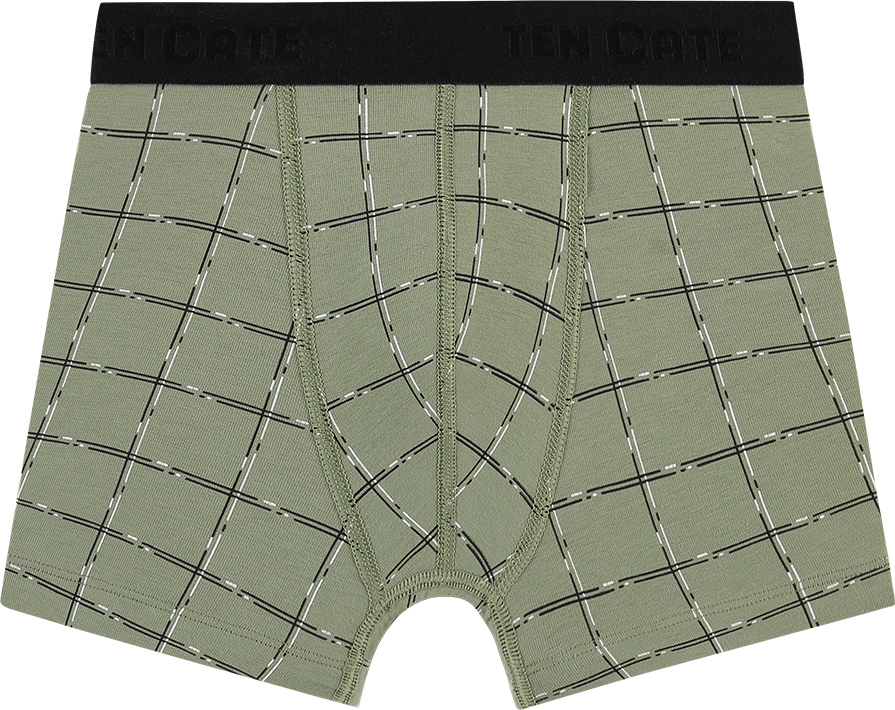 Jongens Basics Organic Cotton Stretch 2-Pack Shorts Check Green