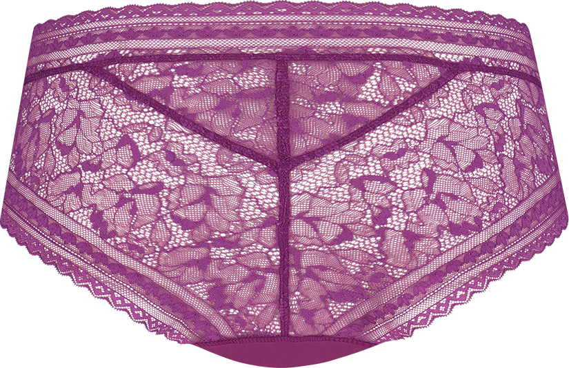 Dames Secrets Hipster Lace Purple