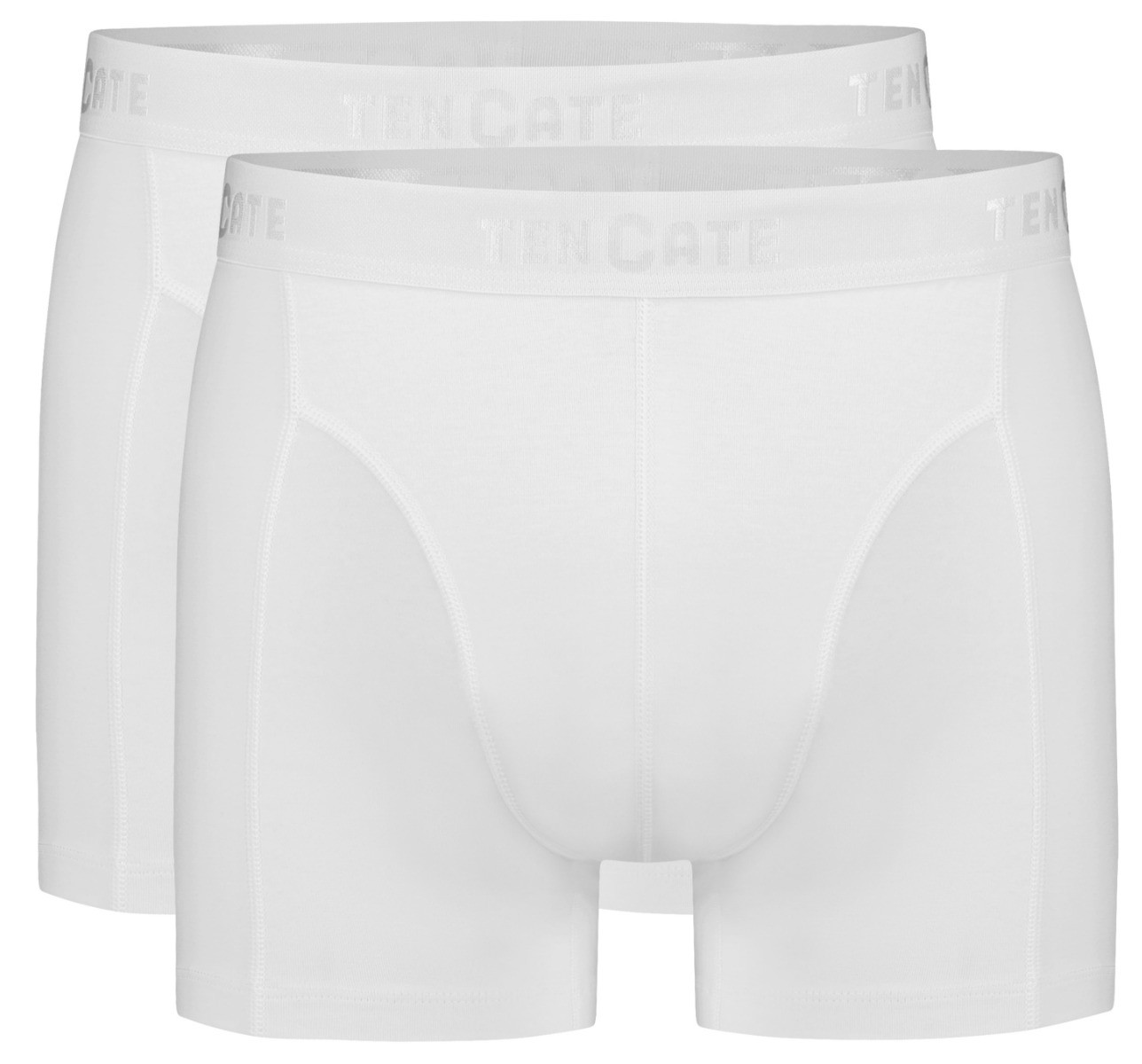 Basics Organic Cotton Stretch Heren Shorts 2-Pack Wit