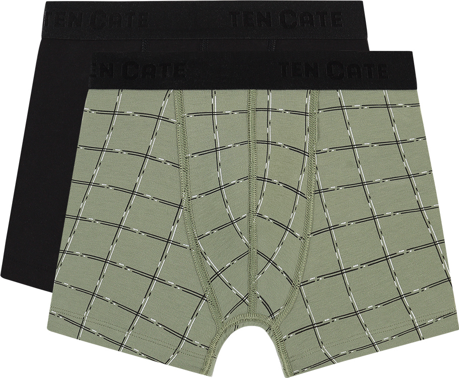 Jongens Basics Organic Cotton Stretch 2-Pack Shorts Check Green