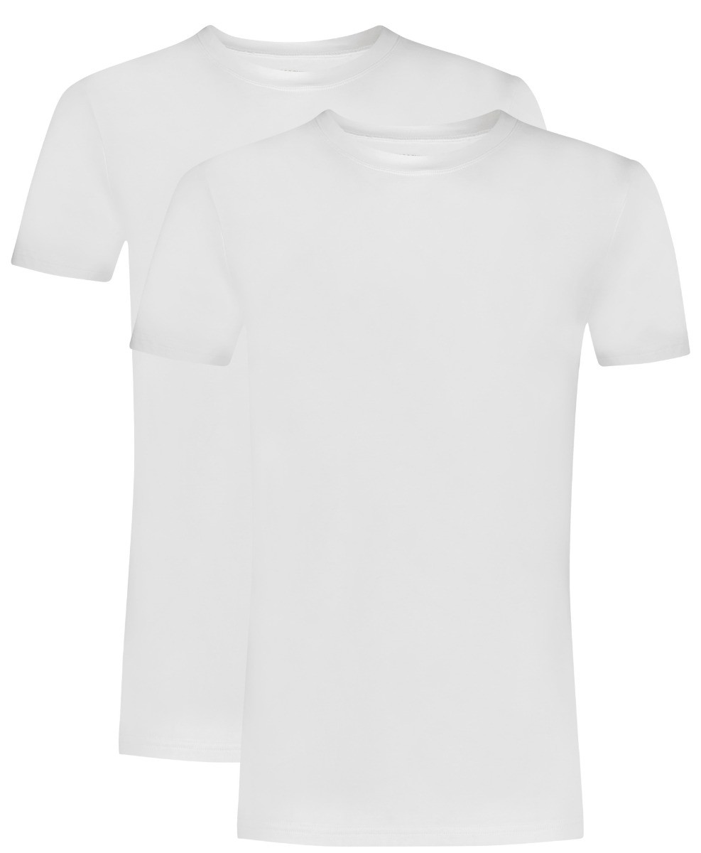 Basics Organic Cotton Stretch Heren T-Shirt High Neck 2-Pack Wit